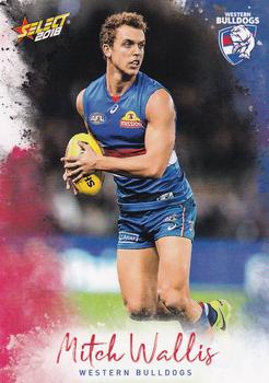 2018 Select Footy Stars #221 Mitch Wallis Front